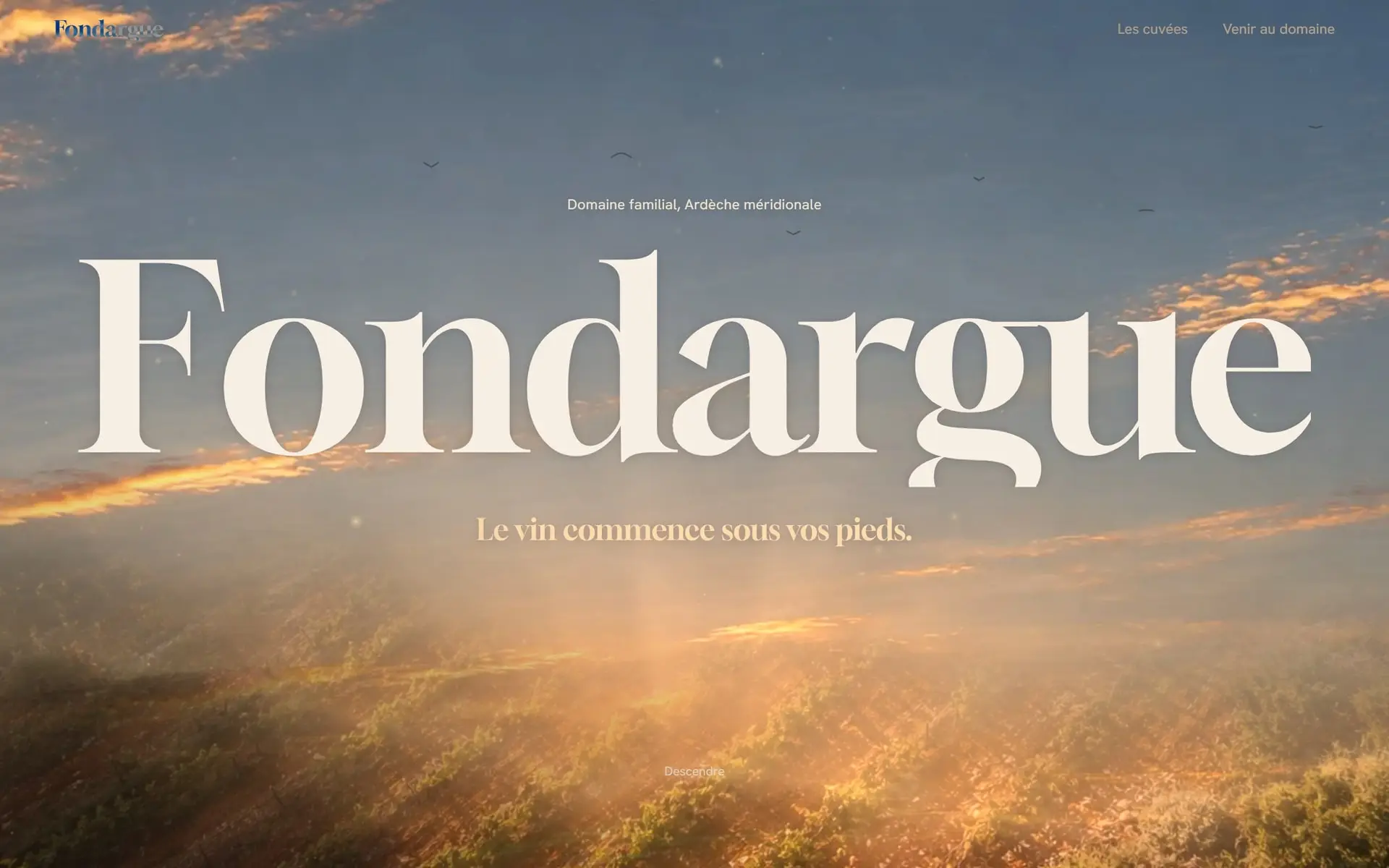 Page d’accueil du Domaine de Fondargue : le nom du domaine en grand dans un ciel d’aube.